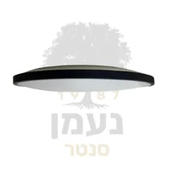 צד