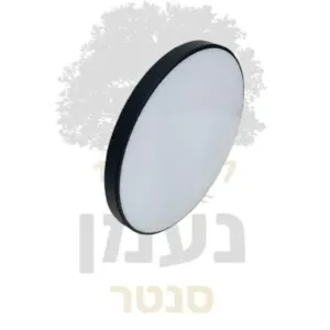 גוף תאורה צמוד תקרה 25 ס"מ מסגרת שחורה
